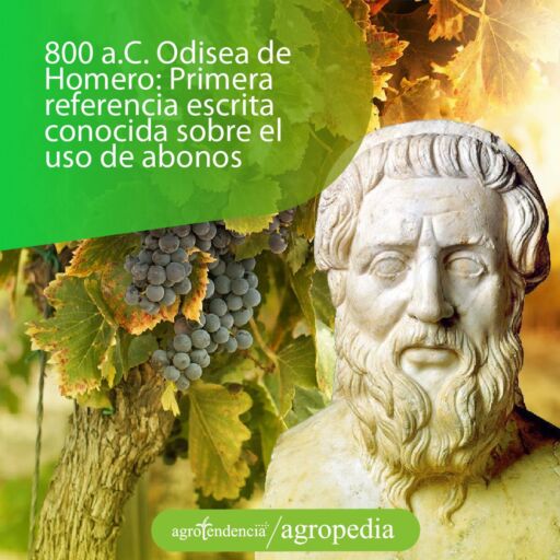 Estatua de homero y el uso de abono como fertilizante