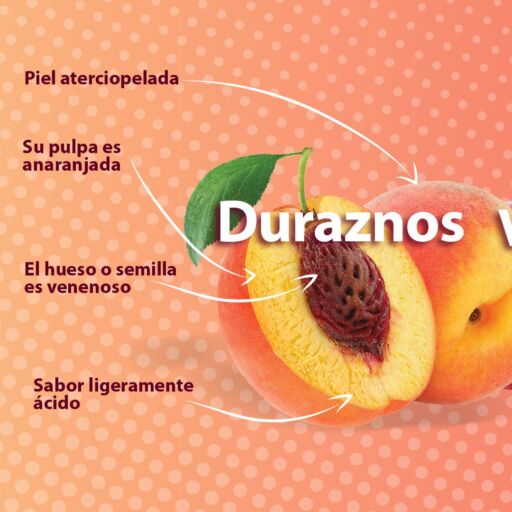 fruto de durazno con sus caracteristicas