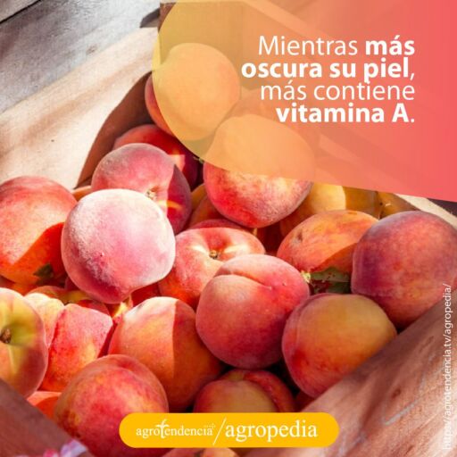 duraznos en una caja de madera