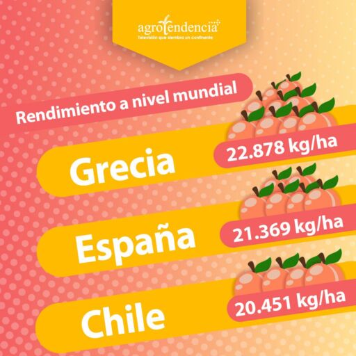 Rendimiento del durazno a nivel mundial