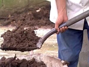Fertilizante - Fertilizantes - Usos de los fertilizantes - Tipos de fertilizantes - Beneficios de los fertilizantes en los cultivos