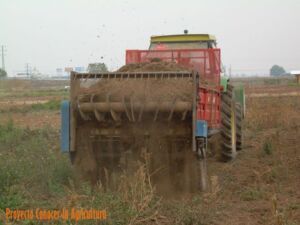 Fertilizante - Fertilizantes - Usos de los fertilizantes - Tipos de fertilizantes - Beneficios de los fertilizantes en los cultivos