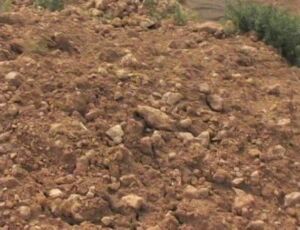 Fertilizante - Fertilizantes - Usos de los fertilizantes - Tipos de fertilizantes - Beneficios de los fertilizantes en los cultivos