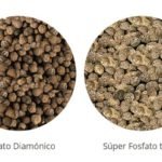 Fertilizante - Fertilizantes - Usos de los fertilizantes - Tipos de fertilizantes - Beneficios de los fertilizantes en los cultivos
