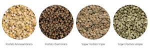 Fertilizante - Fertilizantes - Usos de los fertilizantes - Tipos de fertilizantes - Beneficios de los fertilizantes en los cultivos