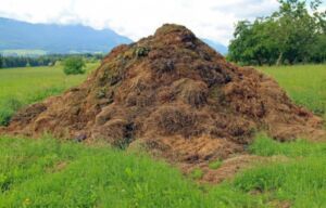 Fertilizante - Fertilizantes - Usos de los fertilizantes - Tipos de fertilizantes - Beneficios de los fertilizantes en los cultivos