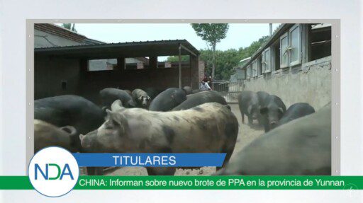 Noticias Del Agro Emisión 13 de noviembre 19