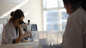 Semillas de cáñamo como alternativa de proteína