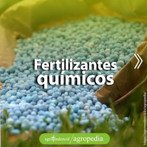 gránulos azules de fertilizantes químicos