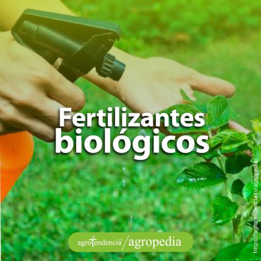 Un dispositivo nebulizando una hoja con fertilizantes