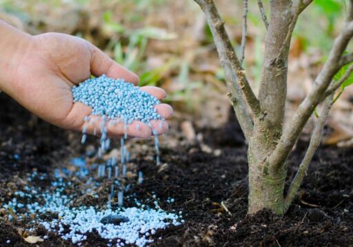 Fertilizante: ¿Qué es, para qué sirve, qué beneficios tiene?