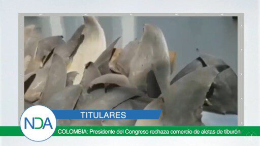 Noticias Del Agro Emisión 05 de noviembre 2019
