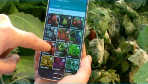Aplicación para reconocer síntomas de deficiencia en plantas