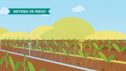 Ventajas que generan las energías alternativas