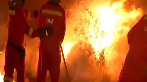 Gel para prevenir incendios forestales
