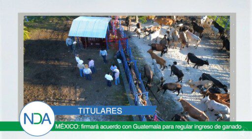 Noticias Del Agro Emisión 11 de noviembre 2019