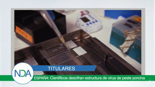 Noticias Del Agro Emisión 12 de noviembre 19