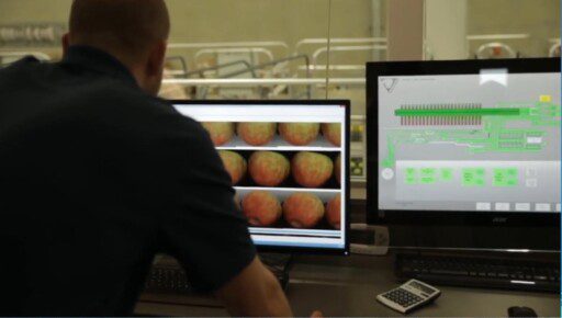 Tecnología para fotografiar interior de las frutas sin abrirlas
