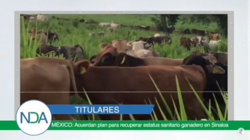 Noticias Del Agro Emisión 05 de diciempbre 2019