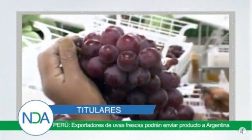 Noticias Del Agro Emisión 29 de noviembre 2019
