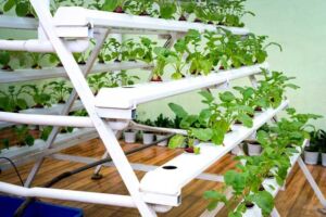 Hidroponía - Cultivo hidropónico - Importancia del cultivo hidropónico - Ventajas de la hidroponía