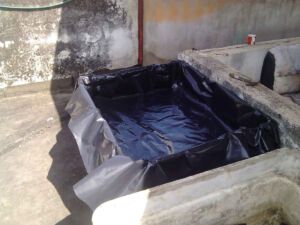 Hidroponía - Cultivo hidropónico - Importancia del cultivo hidropónico - Ventajas de la hidroponía