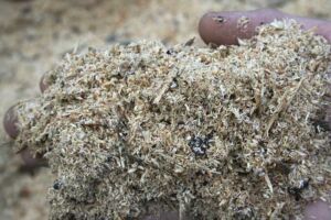 Hidroponía - Cultivo hidropónico - Importancia del cultivo hidropónico - Ventajas de la hidroponía