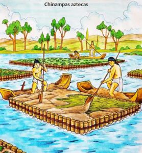 Hidroponía - Cultivo hidropónico - Importancia del cultivo hidropónico - Ventajas de la hidroponía