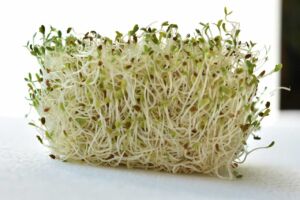 Hidroponía - Cultivo hidropónico - Importancia del cultivo hidropónico - Ventajas de la hidroponía