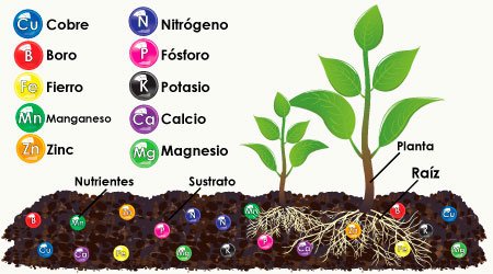 Tabla de soluciones nutritivas requeridas por las plantas (cobre, magnesio, boro, calcio, fosforo, nitrogeno, fierro, manganeso, zinc, potasio)