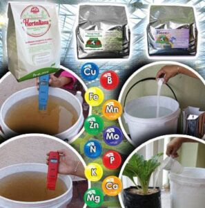 Hidroponía - Cultivo hidropónico - Importancia del cultivo hidropónico - Ventajas de la hidroponía