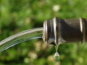 Hidroponía - Cultivo hidropónico - Importancia del cultivo hidropónico - Ventajas de la hidroponía