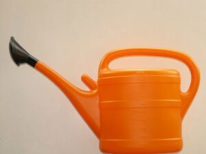 Hidroponía - Cultivo hidropónico - Importancia del cultivo hidropónico - Ventajas de la hidroponía