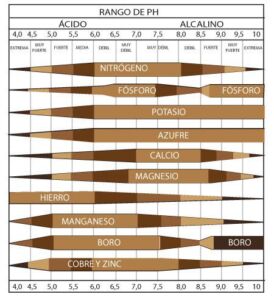 Hidroponía - Cultivo hidropónico - Importancia del cultivo hidropónico - Ventajas de la hidroponía
