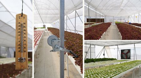 Invernaderos con con ventiladores y termómetros para medir condiciones en cultivo hidropónico o hidroponia