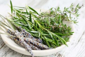 Hidroponía - Cultivo hidropónico - Importancia del cultivo hidropónico - Ventajas de la hidroponía