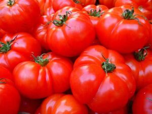 Hidroponía - Cultivo hidropónico - Importancia del cultivo hidropónico - Ventajas de la hidroponía