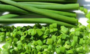 Hidroponía - Cultivo hidropónico - Importancia del cultivo hidropónico - Ventajas de la hidroponía