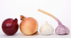 Hidroponía - Cultivo hidropónico - Importancia del cultivo hidropónico - Ventajas de la hidroponía