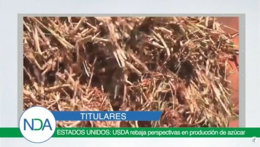 Noticias Del Agro Emisión 12 de diciembre 2019
