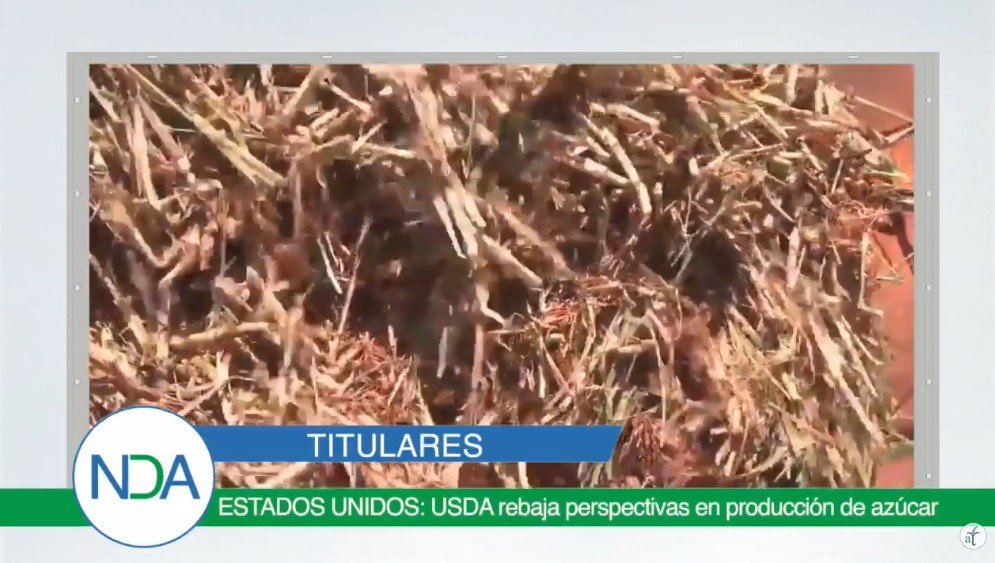 Noticias Del Agro - Agrotendencia TV