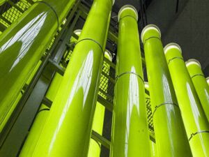 Microalgas - Cultivo de microalgas - métodos usados para el cultivo de microalgas - ventajas del cultivo de microalgas - Usos de las microalgas