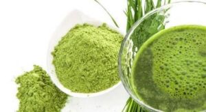 Microalgas - Cultivo de microalgas - métodos usados para el cultivo de microalgas - ventajas del cultivo de microalgas - Usos de las microalgas