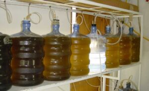 Microalgas - Cultivo de microalgas - métodos usados para el cultivo de microalgas - ventajas del cultivo de microalgas - Usos de las microalgas