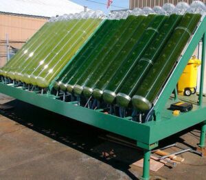 Microalgas - Cultivo de microalgas - métodos usados para el cultivo de microalgas - ventajas del cultivo de microalgas - Usos de las microalgas