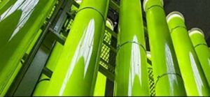 Cultivo de microalgas: en que consiste, métodos y ventajas
