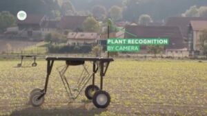 Robot campesino ayuda a utilizar menos químicos