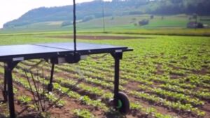 Un robot que controla la maleza con energía solar