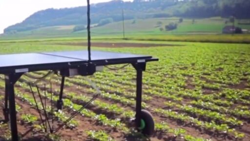 Un robot que controla la maleza con energía solar