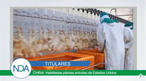 Noticias del Agro Emisión 28 de noviembre 2019